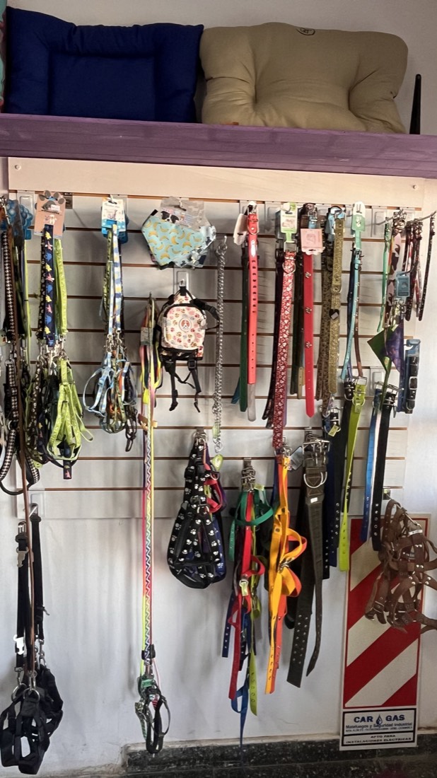 Collares y correas en Buba Pet Shop