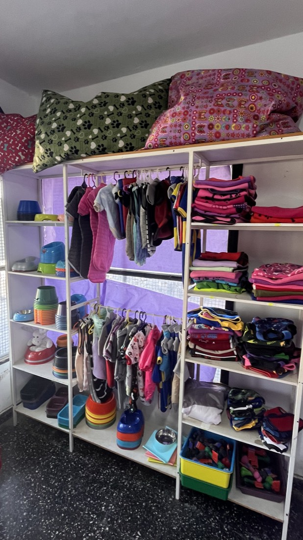 Indumentaria para perros en Buba Pet Shop